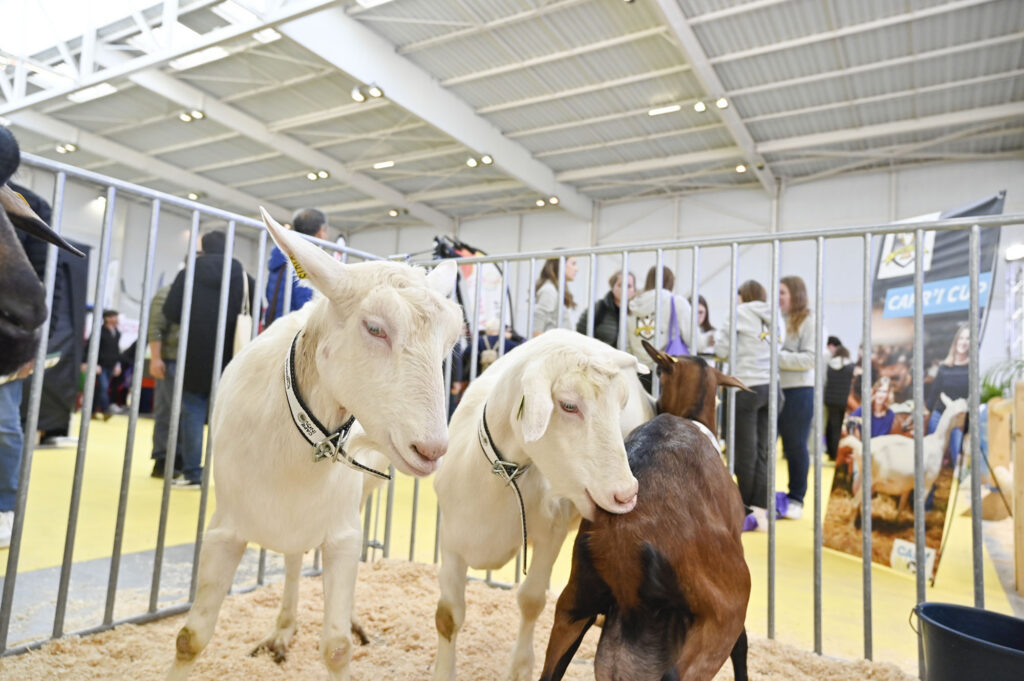 Capr'Inov - Niort Parc Expo